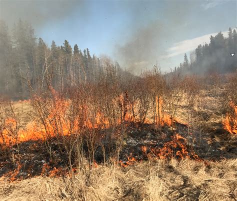 high level forest area wildfire update