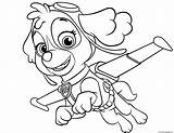 Paw Pages Coloring Patrol Zuma Skye Flying Printable Getcolorings Patr sketch template