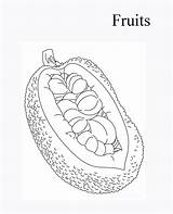Vitamins Jackfruit sketch template