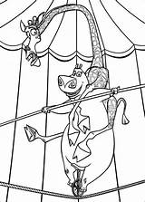 Madagascar Coloring Pages Fun Kids Coloriage Info Book sketch template