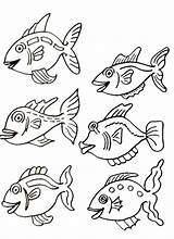 Poisson Coloriage Peux Fêter Découper Veux Servir sketch template