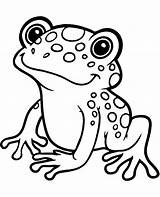 Frog Coloring Pages Exotic Easy Water Print Animals Coloriage Grenouille Printable Children Kids Sheet Sheets Sea Animal Topcoloringpages Printables Dessin sketch template