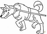 Sled Dog Coloring Pages Printable Drawing Sledding Color sketch template