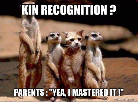 kin recognition parents yea  mastered  kin recognition