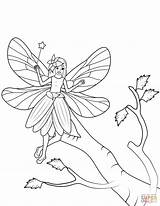 Fairy Coloring Wand Tree Pages Flies Over sketch template