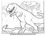 Dinosaur Coloring Pages Dinosaurs Kids Printable Rex Color Print Drawing Trex Colouring Sheets Triceratops Carnotaurus Toddlers Boys Cartoon Bestcoloringpagesforkids Getdrawings sketch template