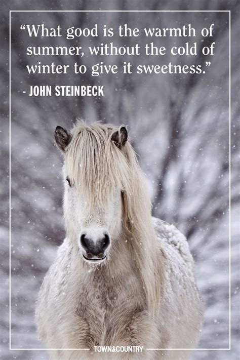 22 Best Winter Quotes Cute Sayings About Snow And The