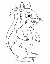 Coloring Squirrel Preschool Pages Bushy Tailed Squirrels Color Popular Getdrawings Library Clipart Coloringhome sketch template