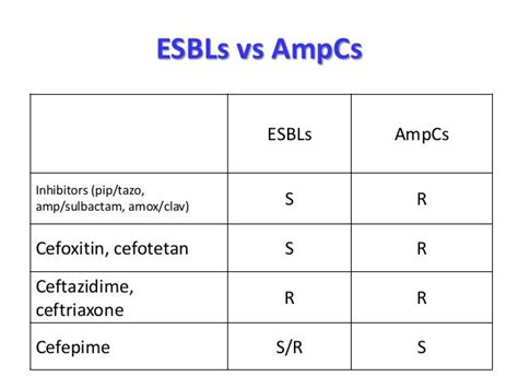 difference  esbl kpc mbl  ampc