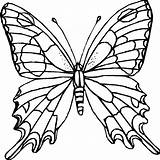 Butterfly Coloring Pages Colouring Butterflies Kids Color Printable Colour Drawing Adults Drawings Coloriage Print Papillon Printables Template Odd Dr Cute sketch template