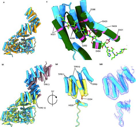 comparison  cryo em model  crystal structures  superimposition