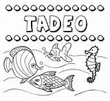 Tadeo Compartidos sketch template