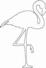 Flamingo Silhouette Outline Silhouettes Svg Drawing Vector Coloring Pages sketch template