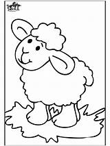 Pecorella Animaux Mouton Schaapje Ferme Owieczka Oveja Coloriage Owca Kolorowanka Boerderijdieren Kolorowanki Coloriages Kleurplaten Dieren Animales Página Advertentie Ovejas Pubblicità sketch template