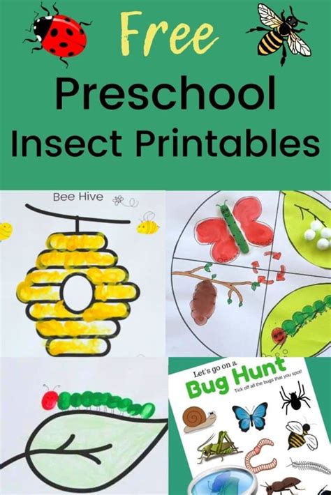 preschool insect theme printables activities