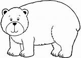 Mewarnai Beruang Hewan Binatang Sketsa Lucu Warnaigambartk Kelinci Kalian sketch template