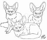 Fennec Foxes Lineart Simensis Canis Pre05 sketch template
