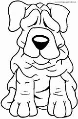 Coloring Perros Dibujos Sharpei Cachorro Raza Graciosas Mamiferos Mamíferos Tudodesenhos Aprende Chiens Puppies Wrinkle Megghy Interese Quizás Publicada Disegni sketch template