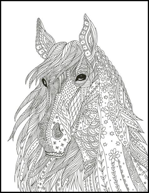 horse coloring books adultcoloringbookz