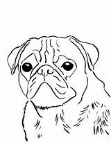 Pug Coloring Leave sketch template