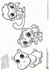 Animaux Maternelle Coloriage sketch template
