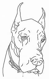 Kleurplaat Hond Kleurplaten Dane Honden Caini Colouring Mewarnai Colorat Hunde Anjing Caine Coloriages Animierte Desen Chiens Pitbull Bergerak Coloringpagesfun Malvorlage sketch template