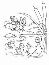 Patos Conejos Dibujosparaimprimir Coloración Colorea sketch template