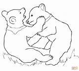 Bear Grizzly Cubs Playing Coloring Pages Drawing Realistic Printable Sheets Animal Kids Print Sheet sketch template