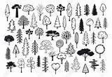 Forest Conifer Outline Nadelbaum Silhouettes Brushes Outlined Bäume Schattenbilder Zusammenfassung Kritzeln 123rf Shutterstock Illustrationen Doodled Istockphoto sketch template