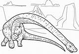 Brontosaurus Apatosaurus Dinosaurs sketch template