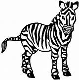 Zebra Coloring Kids Pages Animal sketch template