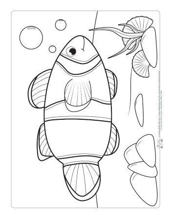 newsletter animal coloring pages pattern coloring pages fish