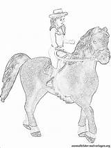 Schleich Reiter Pferde sketch template
