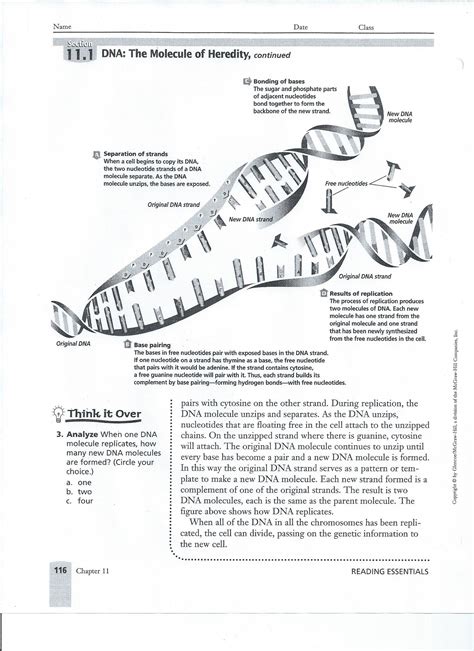 biology worksheets