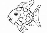 Coloring Rainbow Trout Getcolorings sketch template
