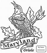 Coloring State Pages Maryland Bird Iowa Oriole Printable Baltimore Color Usa Drawing Razorback Birds Kids Arkansas Mlb Logo Blossom Apple sketch template