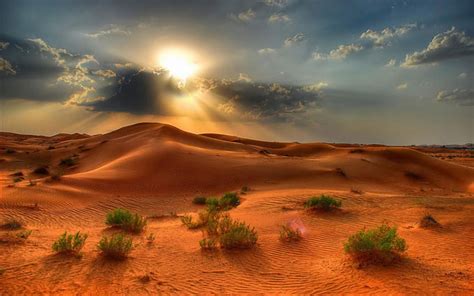 desert landscape summer sunset   desert red sand beautiful