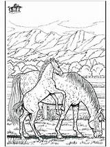 Horse Coloring Pages Racing Race Print Getcolorings Printable Color Getdrawings sketch template