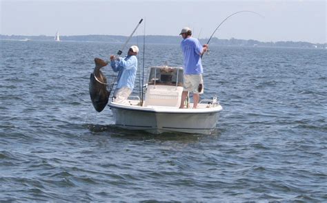chesapeake bay fishing fishtalk magazine