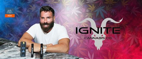 Dan Bilzerian Launches Ignite Cannabis Co Promises You
