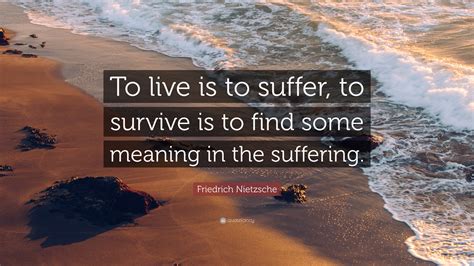 friedrich nietzsche quote     suffer  survive   find