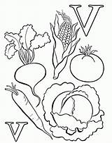 Coloring Vegetable Pages Vegetables Color Kids Sheets Nutrition Print Printable Fruits Book Worksheets Food Popular Library Clipart Related Fruit Coloringhome sketch template