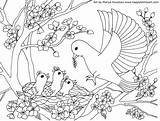 Coloring Pages Bird Spring Happy Birds Flower Kids Printable Happyfamilyart Print sketch template