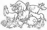 Animales Granja Fattoria Colorir Desenhos Pato Fazenda Bauernhof Livro Animati Cartoni Malbuch Animalitos Izakowski Ilustração sketch template