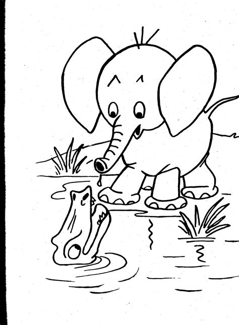 printable realistic animal coloring pages  getcoloringscom