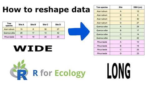 reshape  data    analysis   ecology