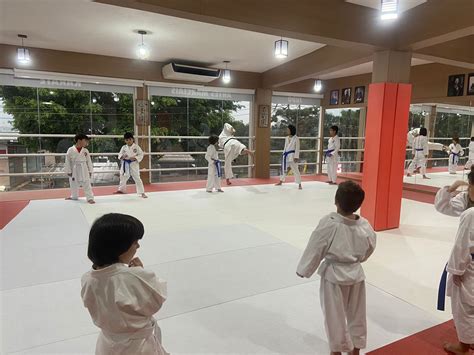 Aula De Karate Infantil Em Cotia São Paulo Renbukan Brasil