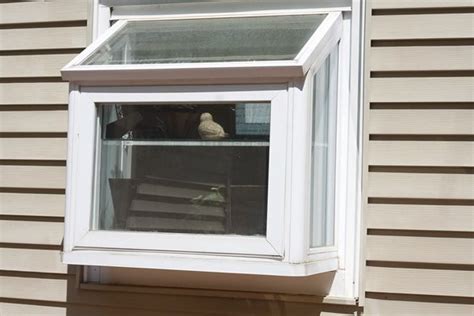 jeld wen replacement windows kitchen window window greenhouse window inserts