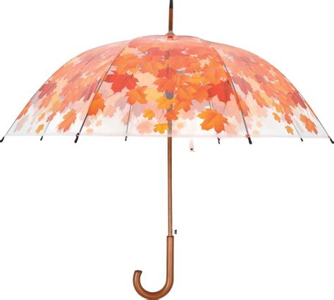 paraplu boomkroon herfst bol