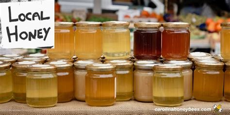 sell honey tips  success carolina honeybees